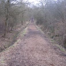 Howe Park Wood