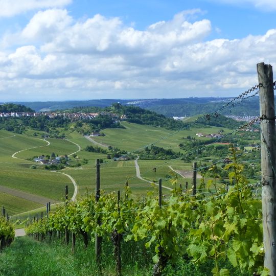 Kappelberg, Kernen, Haldenbach-, Strümpfelbach- und Beutelsbachtal mit angrenzenden Höhen