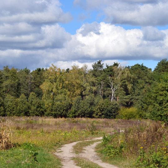 Tsumanskyi nature reserve