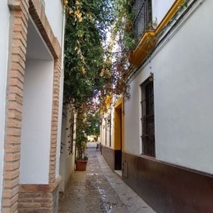 Santa Cruz