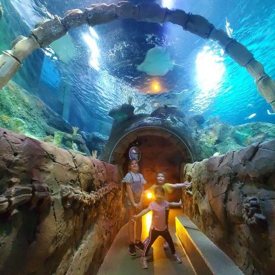 Sea Life Kansas City