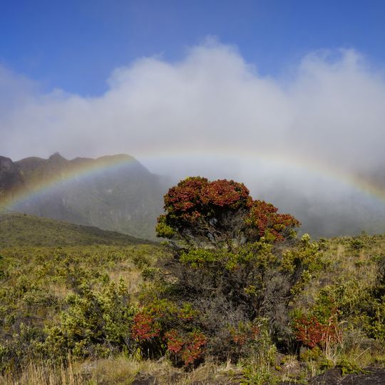 Palikū Campground