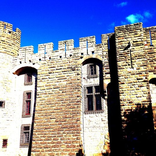 Château de Castelnau Valence