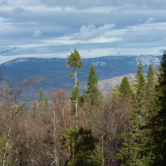 Rezerwat Południowouralski