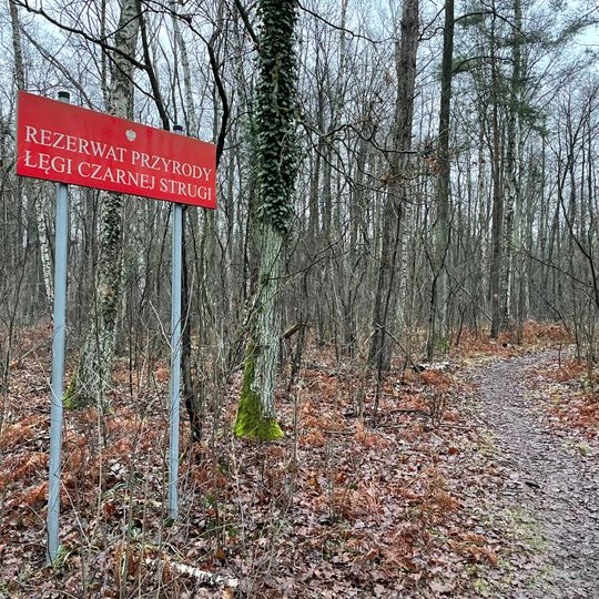 Rezerwat przyrody Łęgi Czarnej Strugi