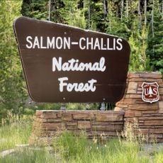 Salmon National Forest