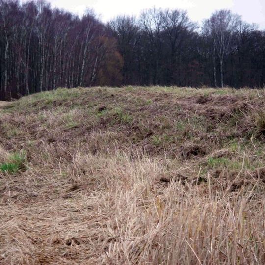 Burgwall Weinberg-Waldsiedlung