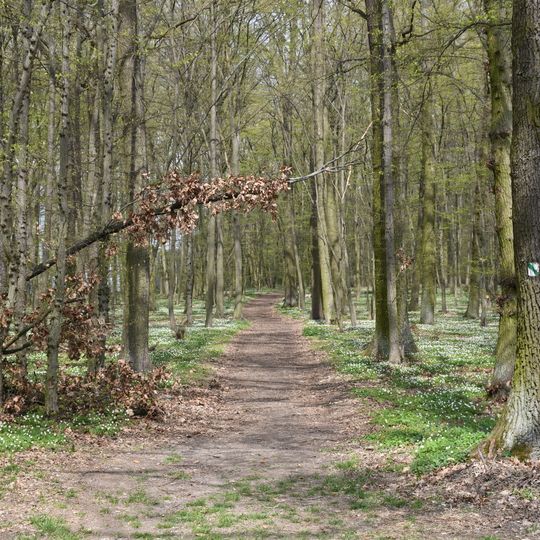 Naučná stezka Češov – Vysoké Veselí