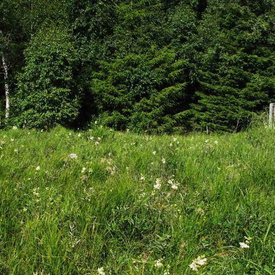 Vistorp, Strängesgården