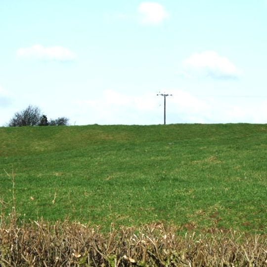 Medieval settlement, including site of chapel and part of the open field system, immediately north east of Alkmonton Old Hall Fa