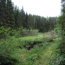 Punamultalukko
