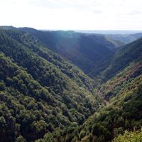 Camps-Saint-Mathurin-Léobazel