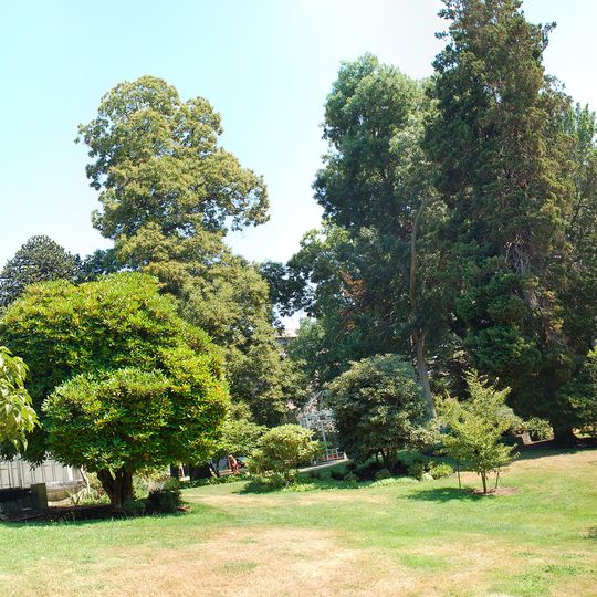 Wright Park Arboretum