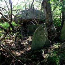 Priorskov Langdysse 1