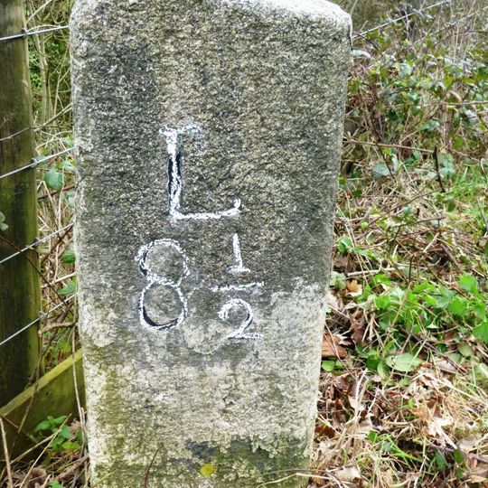 Milestone Opposite Newbridge Wood