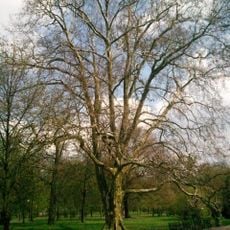 Park Miejski im. Dzieci Wrzesińskich we Wrześni