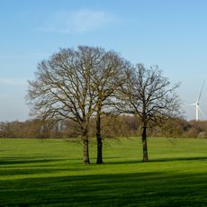 LSG-Altenberger Ruecken