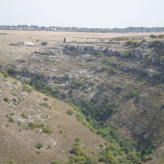 Pulicchio di Gravina