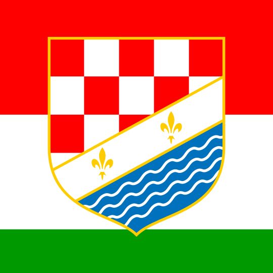 Cantone della Posavina