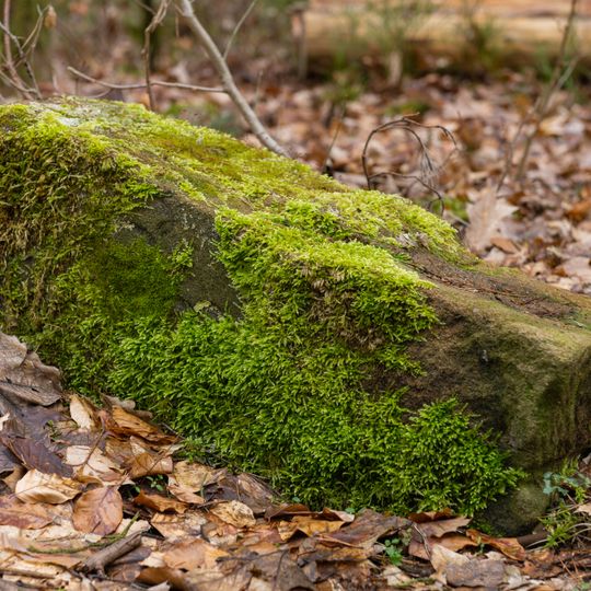 Grenzstein Heilstättenstraße 130 in Zirndorf