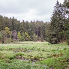 Rotenbachtal - Sekretärweiher