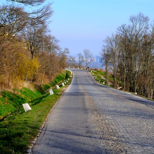 Höhenstraße in Grinzing