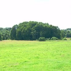 Biržų Laukas hillfort
