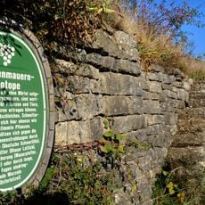 Weinlehrpfad Beckstein