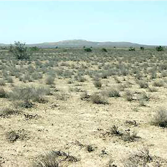 State wildlife sanctuary "Nurobod"