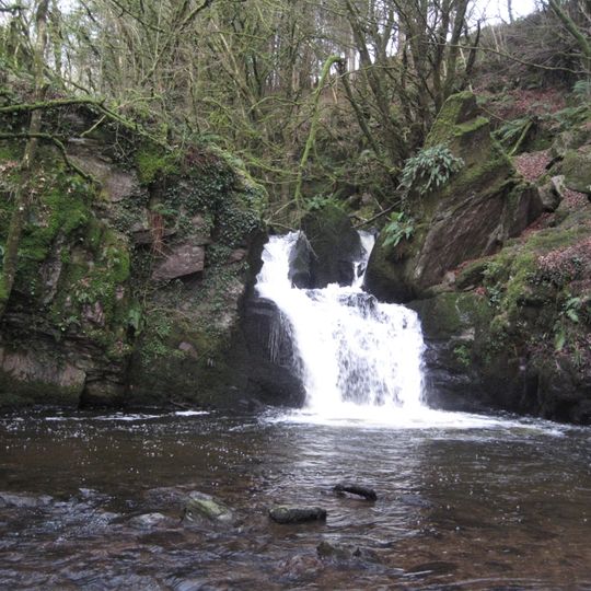 Mullinhassig Wood & Waterfalls, Aghavrin