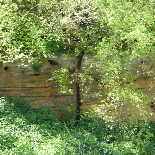 Valley Farm Pit, Sudbourne