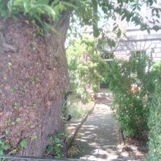 Edinburgh, 15, 16, 17 Comely Bank