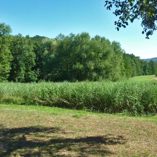 Feuchtgebiet "Greutwiesen"