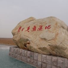 دونغتان