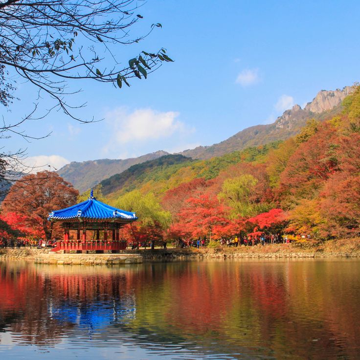 Naejangsan National Park