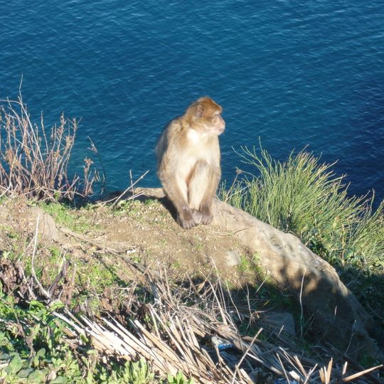 Parco nazionale di Taza