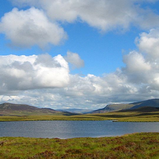 Llyn y Dywarchen