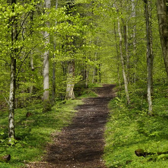 Salzquellen bei der Loose