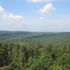 Hainbuchenkopf