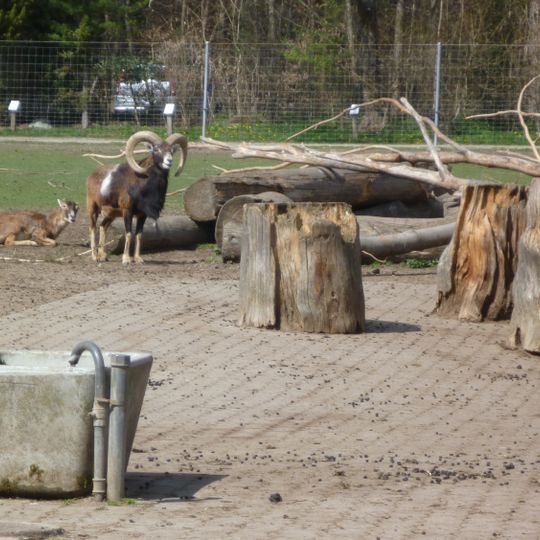 Wildpark Bruderhaus