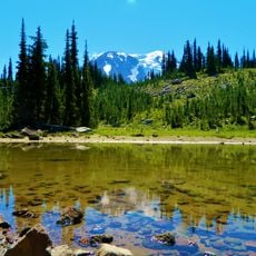 Gifford Pinchot National Forest