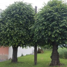 Kříž na jižním okraji Komárovic