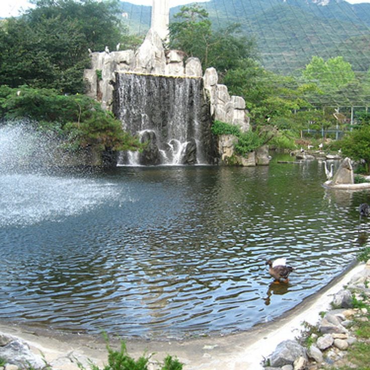 Seoul Grand Park & MMCA Gwacheon