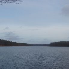 Haussee
