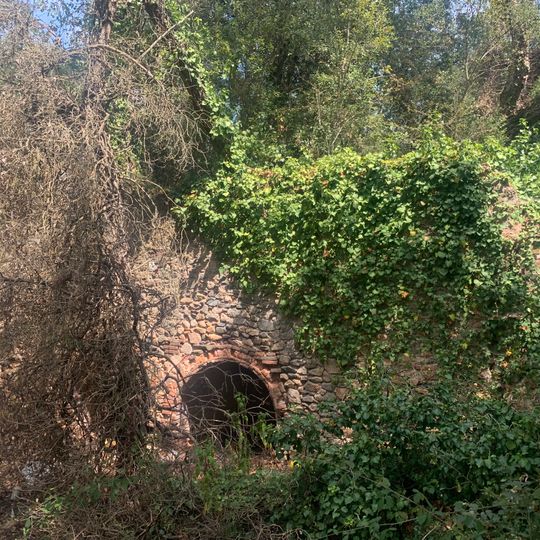 Forn de rajols del Bosc de Can Puig