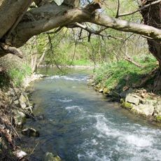 Enztal zwischen Vaihingen-Roßwag und dem Leinfelder Hof