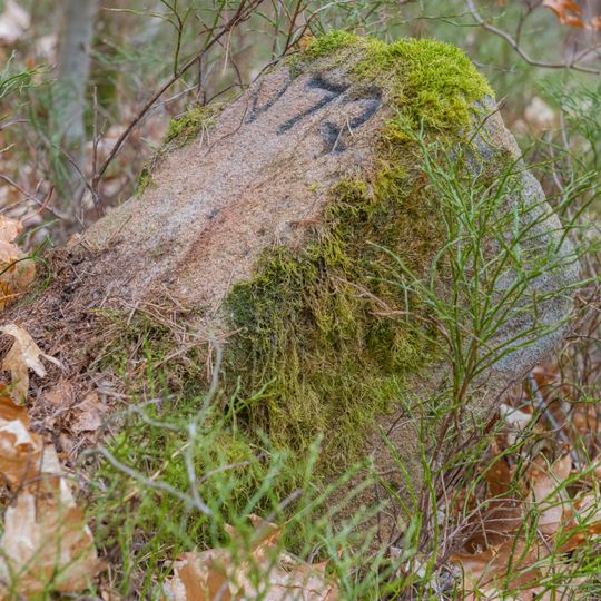 Grenzstein Fürther Stadtwald in Fürth