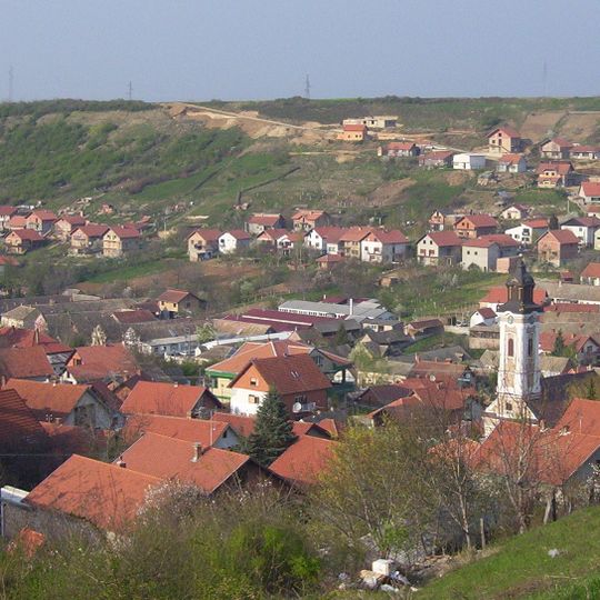 Bukovac