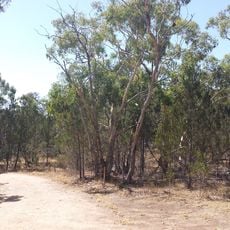 Sandy Creek Conservation Park