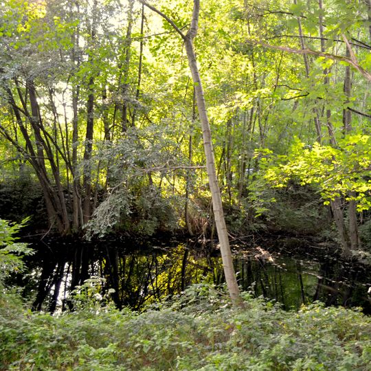 Biotop im Steinbruch Weingraben